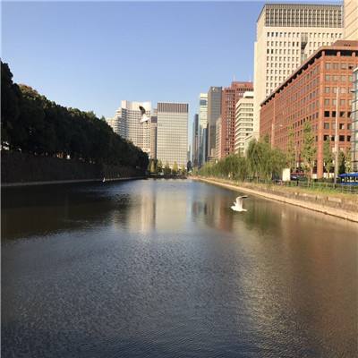 安博体育APP-登录入口