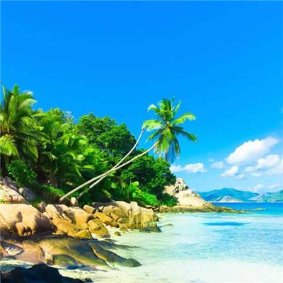 万博manbetx客户端